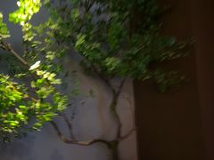 -唐宫足道·SPA·住宿24H会所(木渎店)