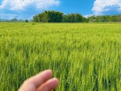 -中国天府农业博览园