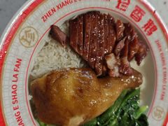 -珍香鹅(软件基地店)