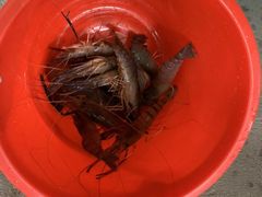 -会江钓鱼钓虾烧烤场