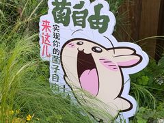 -菌自由丨野生菌火锅特色庭院餐厅(丽江古城店)