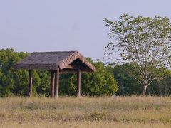 -良渚古城遗址公园