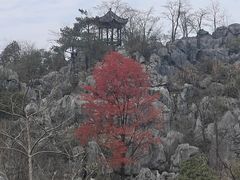 -千岛湖石林