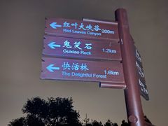 -鬼笑石后山停车场