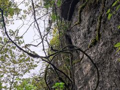 -山王坪喀斯特国家生态公园