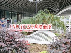 -上海市徐汇区口腔医院