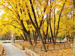 -黑龙江省森林植物园