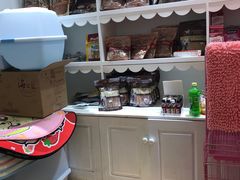 -宠伴小精灵宠物店(鼓楼店)