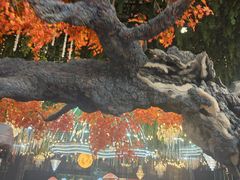 -君临七星生态酒店