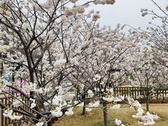 -盈香心动乐园