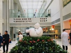 -北京协和医院(东单院区)