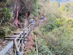 -东天目山风景区