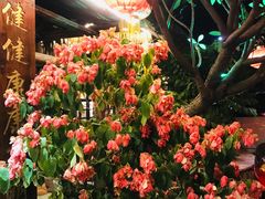 -园林美食城·本土农家菜(杨和镇店)