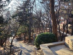 -观象山公园