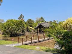 -西双版纳傣族园-曼春满佛寺