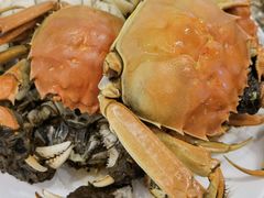 -禾斗海鲜自助(市南银座店)