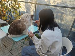 -小时光咖啡馆(北锣鼓巷店)