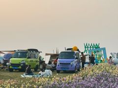 -空港花田景区