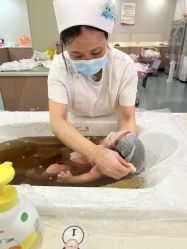-宝生月子中心(民治店)