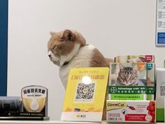 -伟伟宠物医院·CT影像中心·瑞派犬猫综合性门诊(汉口总院)