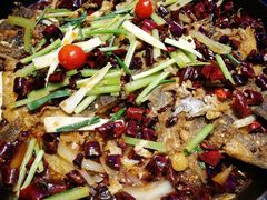 -老板恋上鱼(恒隆广场店)