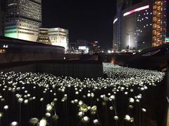 -东大门市场