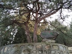 -北京鹫峰国家森林公园