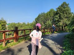 -白鹭湾湿地公园