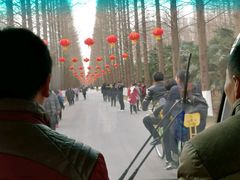 游览车-黄海国家森林公园