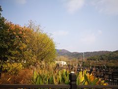 -石塘人家