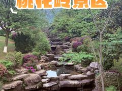 -桃花岭景区