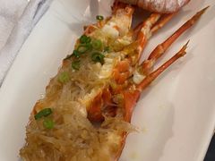 -中苑海韵
