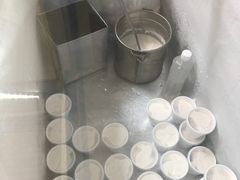 -洪馨椰子