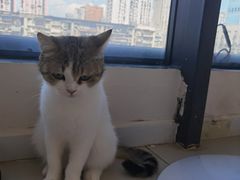 -怪兽屋·羊驼·猫咖·狗咖(俊华广场店)