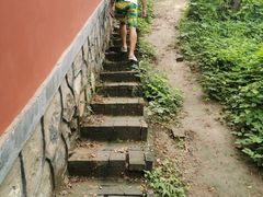 -阳台山自然风景区