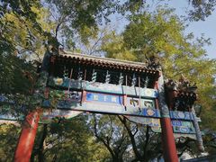 -北京国子监胡同