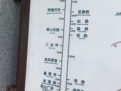 -铁山坪森林公园