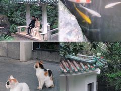 -广州兰圃