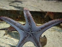 -江和美海洋公园