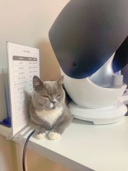 -Pink You美甲美睫纹绣定制中心