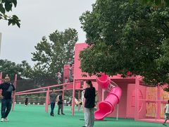 -苏州太湖西山岛开心农场