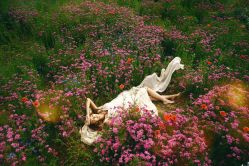 -伊莎贝尔品牌婚纱摄影