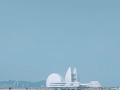 -野狸岛