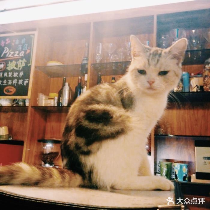 麒麟猫咪亲子主题餐厅咖啡馆图片
