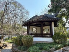 -秋霞圃