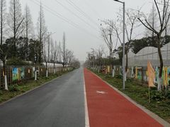 -上海长兴岛郊野公园