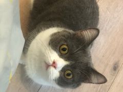 -和它·交个朋友·狗咖猫咖(爱琴海店)