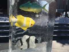 -长春公园(普阳街道)