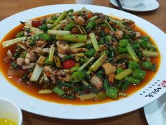 -功夫兔