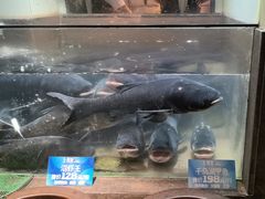 -上名堂·鱼头好吃(体育场路店)